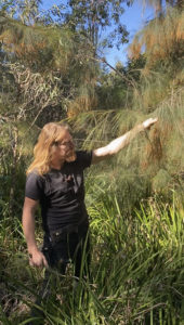 Robbie inspecting a pollinating sheoak tree